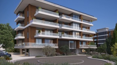 Elevated Living 